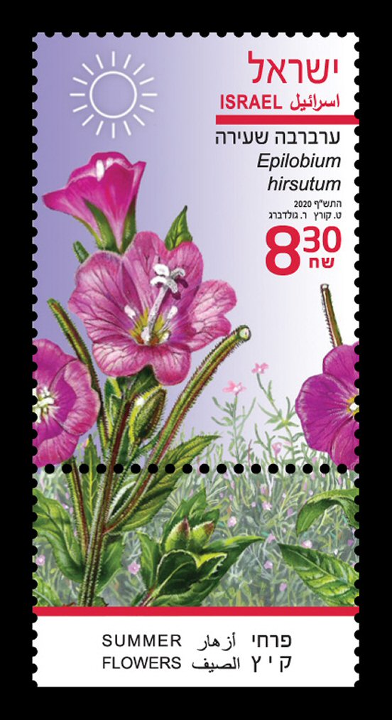 Stamp:Epiloblum Hirsutum, designer:Tuvia Kurtz & Ronen Goldberg 06/2020